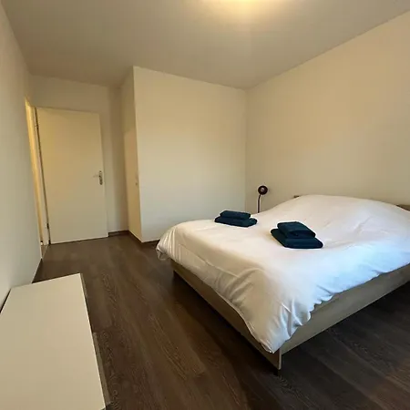Grand T3 Spacieux * Annemasse